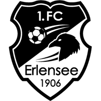 https://img.sullengrey.com/img/football/team/a23904e7205f9324e45c7fef24a620fd.png